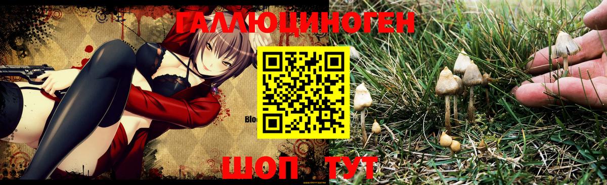 Галлюциногенные грибы Magic Shrooms  Вход с VPN  Коряжма  Галлюциногенные грибы MAGIC MUSHROOMS 